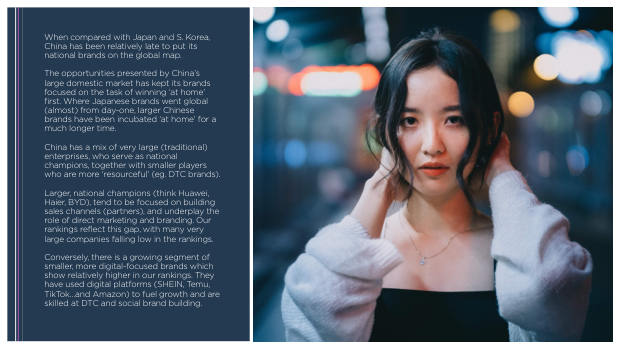 China's Top 100 Global Brands 2024: quantity over quality, and the branding shortfall — page 6