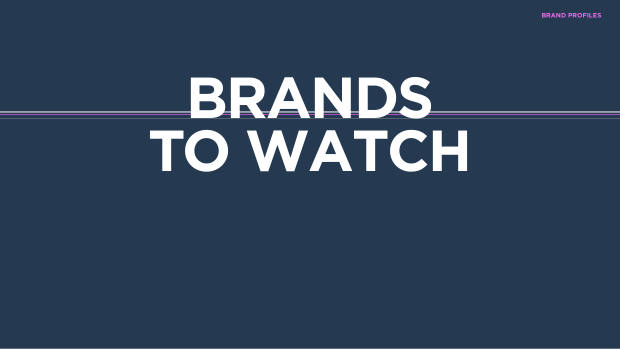 China's Top 100 Global Brands 2024: quantity over quality, and the branding shortfall — page 61