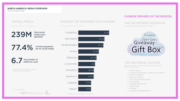 Geographic Analysis of China's Global Brands: where they're winning, and where sentiment still resists — page 19