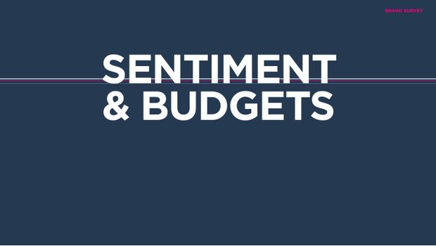 2025 China Marketing & Media Trends: a new paradigm of slower growth, and the first year of real budget cuts — page 12