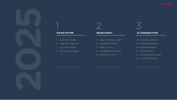 2025 China Marketing & Media Trends: a new paradigm of slower growth, and the first year of real budget cuts — page 3