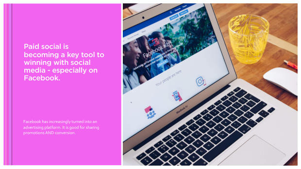 Data-driven insights on social: why formula beats frequency across 80,000 posts — page 43