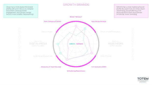 NeiWai vs Ubras: two digital-native lingerie brands, two very different growth playbooks — page 17