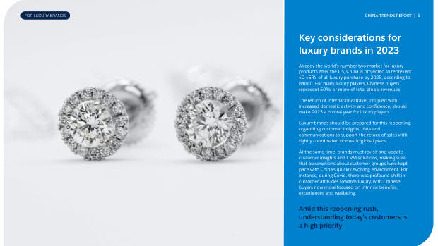 China Trend Report for Luxury Brands 2023: graduating from private traffic to CRM — page 6
